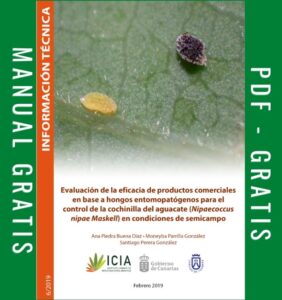 Evaluación de la eficacia de productos<br>comerciales en base a hongos<br>entomopatógenos para el control de la<br>cochinilla del aguacate (Nipaecoccus nipae<br>Maskell) en condiciones de semicampo